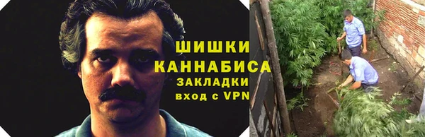 дмт Кулебаки
