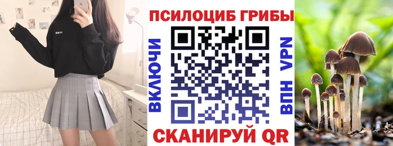 Купить где  Арск  Галлюциногенные грибы Magic Shrooms 